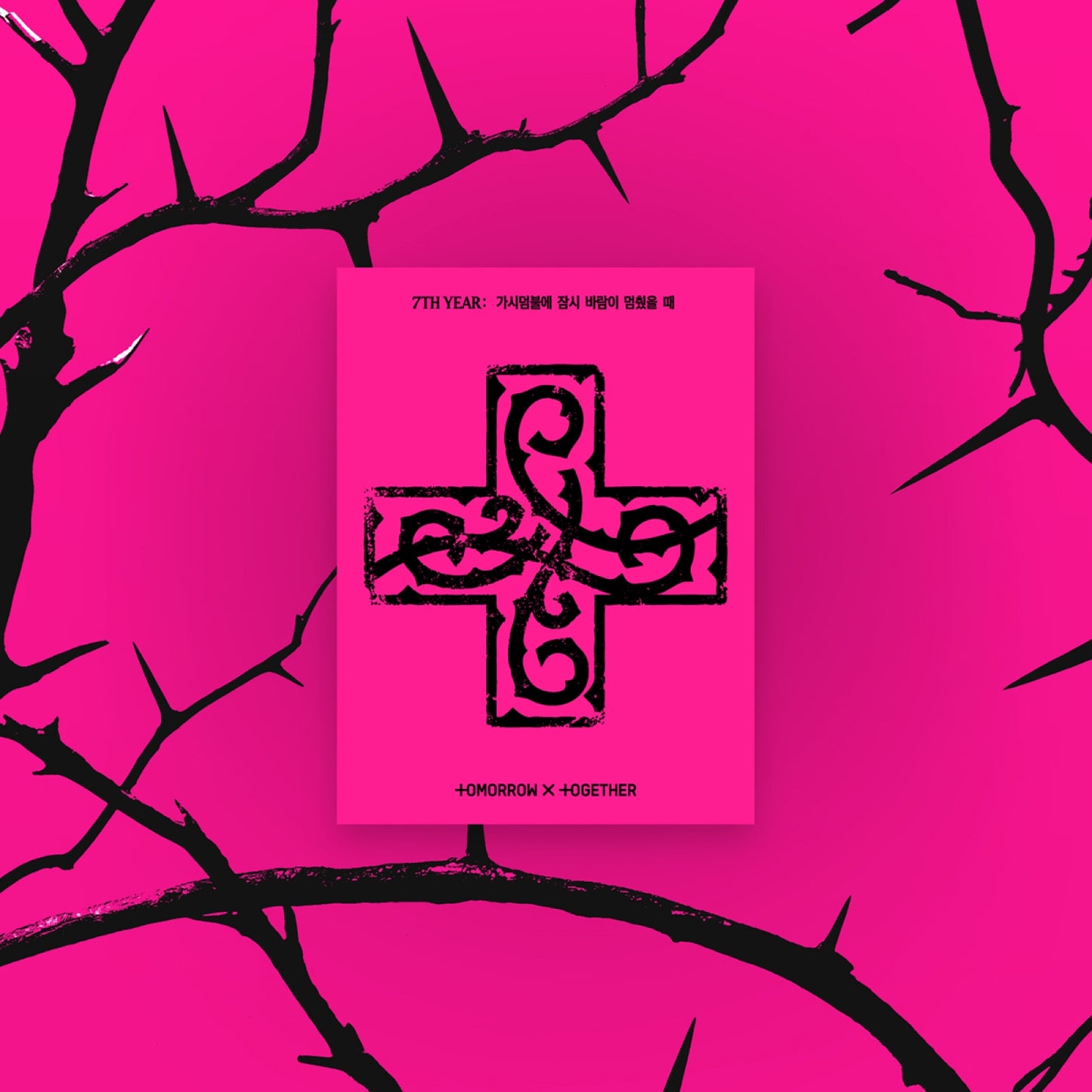 [TXT] 8th Mini Album - 7TH YEAR: A Moment of Stillness in the Thorns (PPULBATU Ver.)(Weverse Ver.)